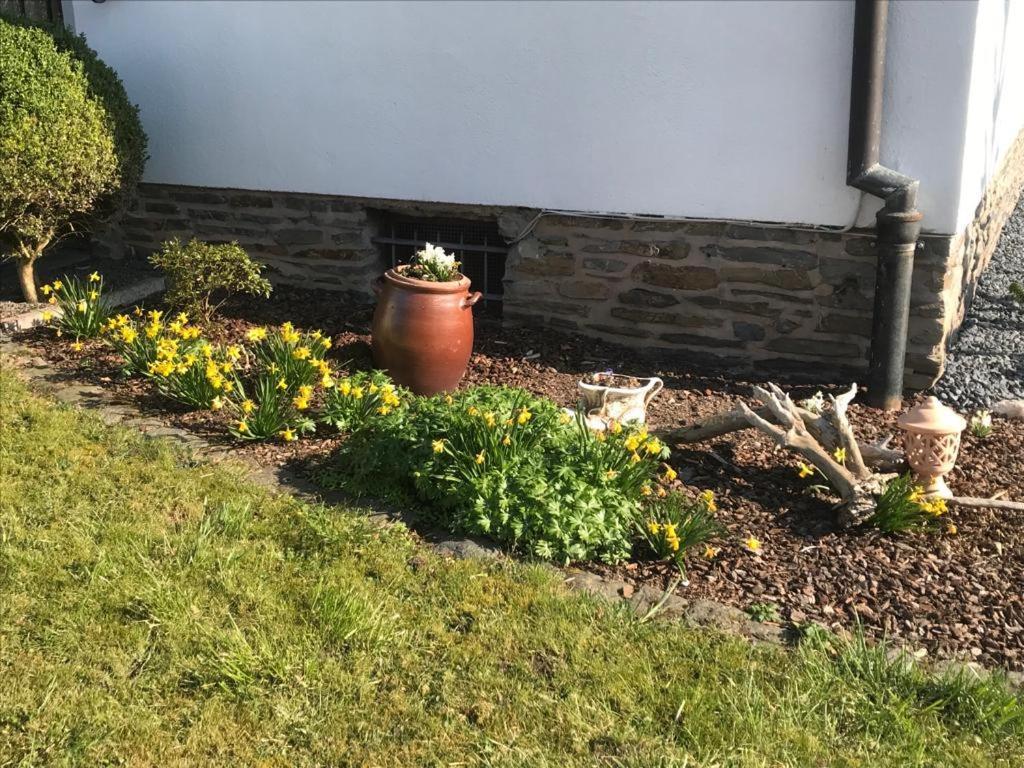 Ferienwohnung Mendgen Bernkastel-Kues Exterior foto